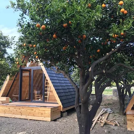Bed and Breakfast Limon Datca Datca