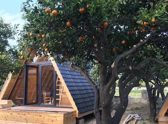 فندق مبيت وإفطار Limon Datca داتْشا